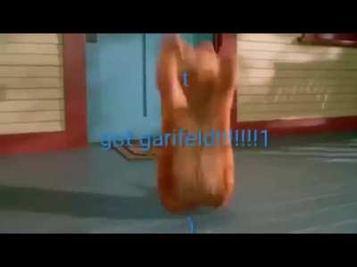 u jus t got garifeld