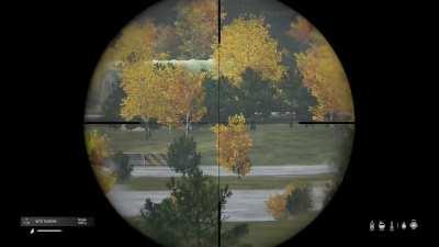 Best shot I've landed