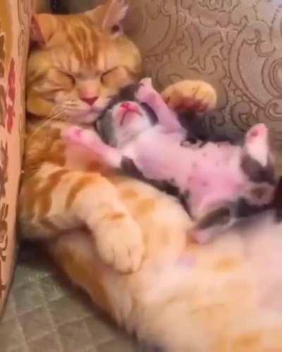 No better feeling than napping with mommy