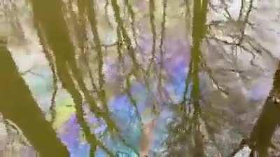 Contaminated creek in Ohio