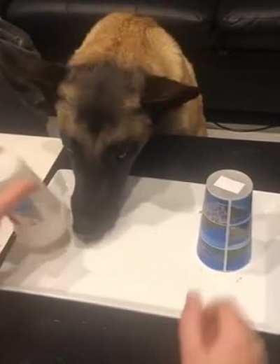 How dare you play me a fool?