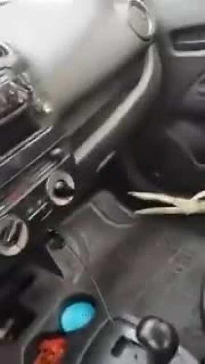 Gente, mejor video de internet definitivo últimate dank shit