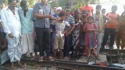 Apex predator aftermath