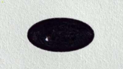 Joe Biden's Silence Him 2020 campaign ad.