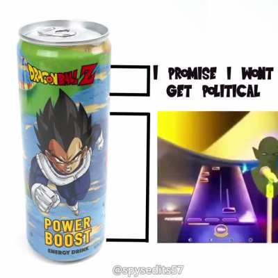 NOT A BIG FAN OF THE GOVERNMENT