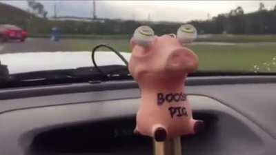 Boost pig