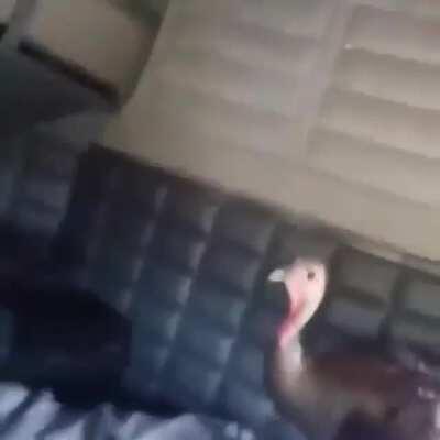 No sé que esperaba sinceramente