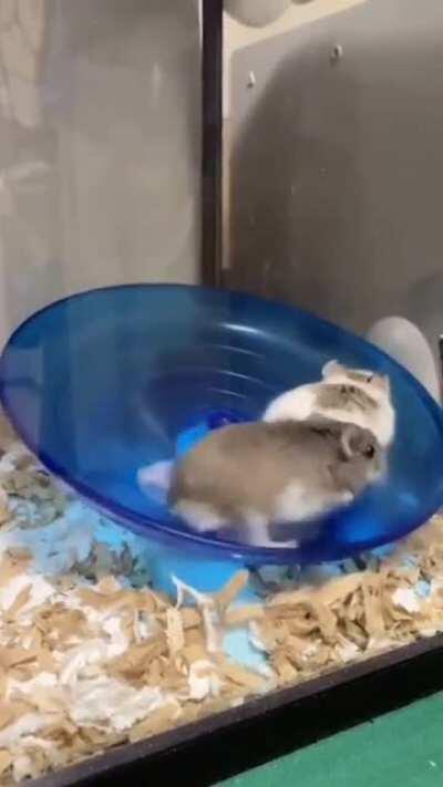 Neo and Morpheus after JJ calls them fat and chubby