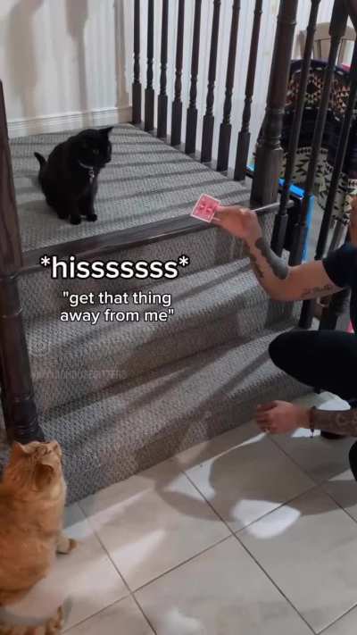 finally found a video for this sub