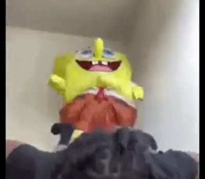 Can anyone help me find the origin of this gif