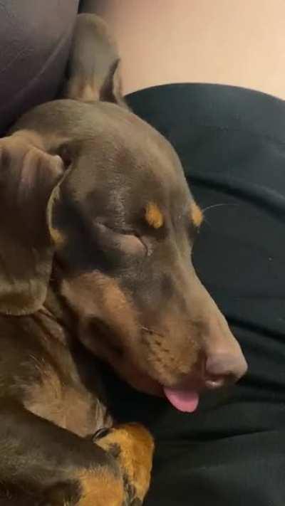 I felt so bad, I couldn’t hold my laughter!