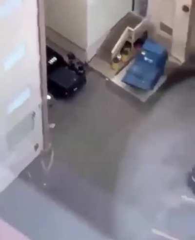 Video shows cops unloading bricks for why exactly?