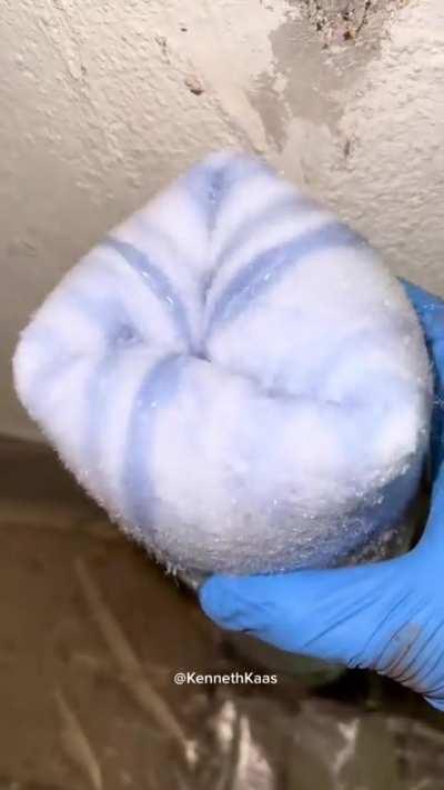 do you know what it is?