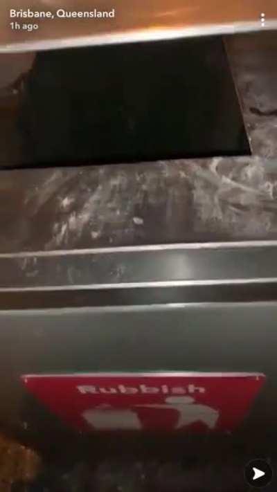 I’m American and I was wondering what Brisbane was like so I checked the Snap map. Was not disappointed.