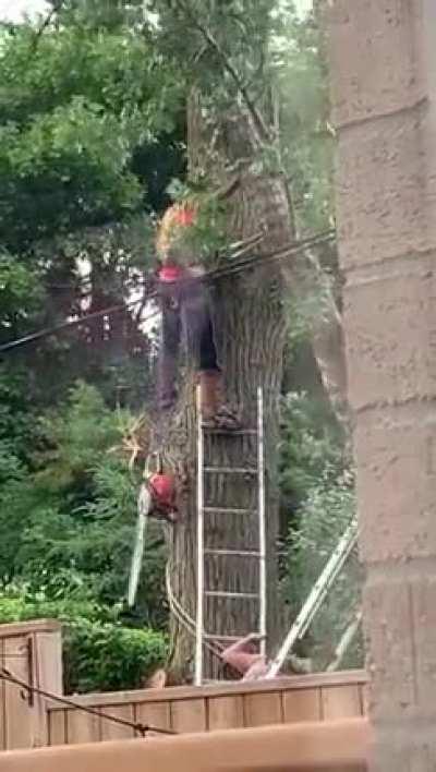 Delimbing isn't just for trees...