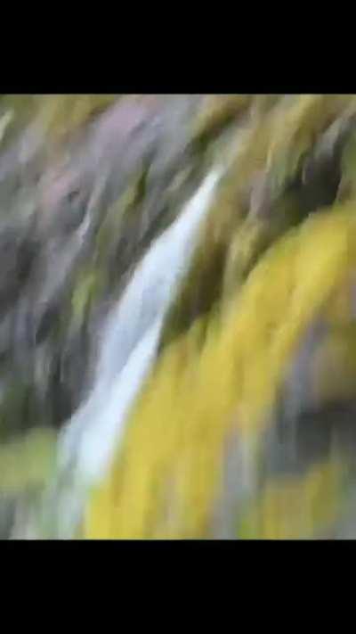 Caution, waterfall slippery when wet