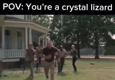 Any small shiny creature really