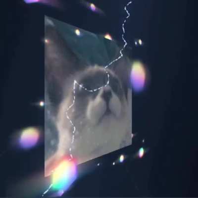 wunk driving in he cat (flash warginn)