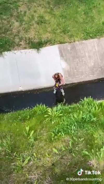 Little fawn gets rescued from a drain culvert