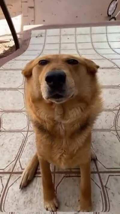 Pause and unpause for maximum entertainment