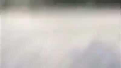 PERRO QLAO VOLANDO CON DRONE XD