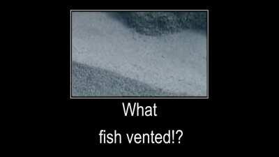 My friend made this a while back