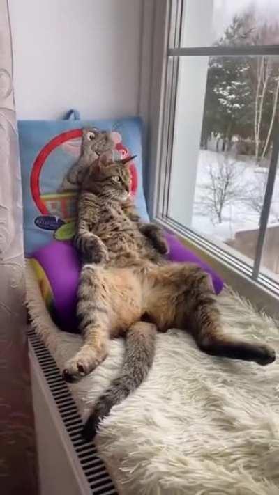 Жизнь удалась...