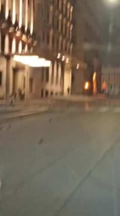 Hundreds of dead birds covered a central Rome street in the aftermath of last night's fireworks for New Year