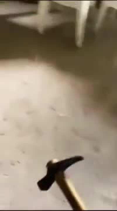 Maybe maybe maybe