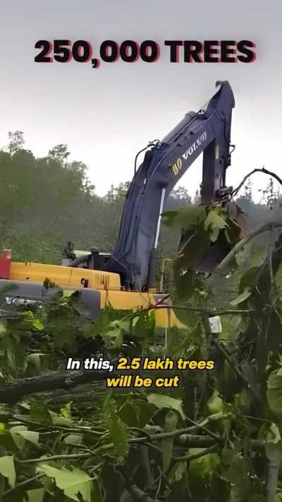 At least koi to bola