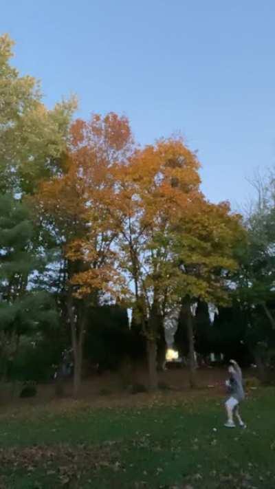 Working on my new screwball. See anything I need to work on?