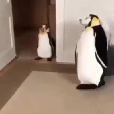 ððð