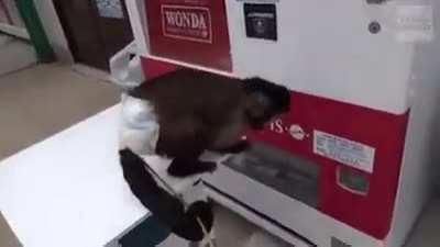 A clever little friend