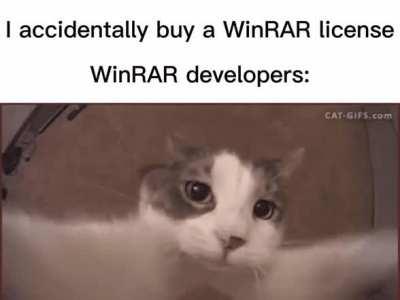 WinRAR Company: stonks📈