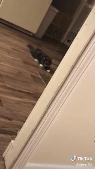 SCP 173 HAS BREACHED CONTAINMENT