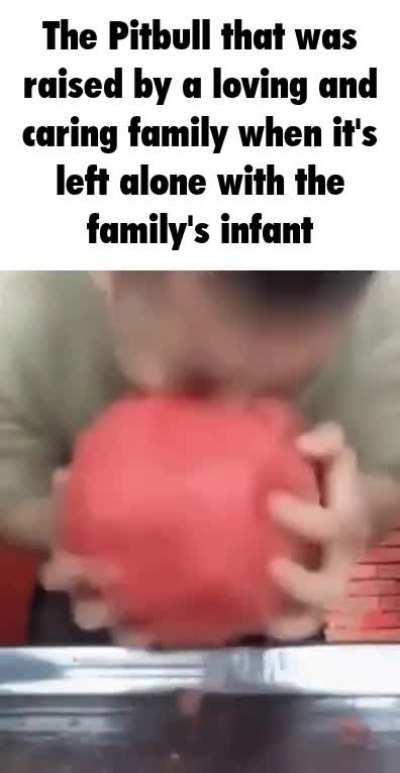 you guys are trying to add sfw things to balance out the Never Save From Waluigi but you forget reddit auto detects the word and sets it to Never Safe From Waluigi so you defeat the purpose of the post