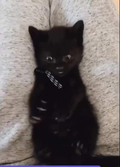 “What.. what are these for?”