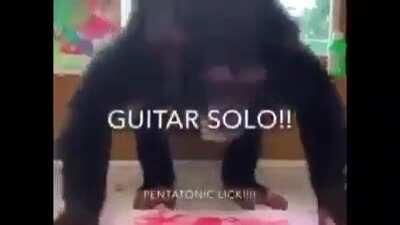 Hoy es viernes de monos!!