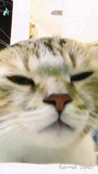 Everybody is vibing (எல்லோரும் அதிர்கிறார்கள்)