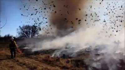 Dust devil wanders into a wildfire, sending hundreds of tumbleweeds spinning through the air