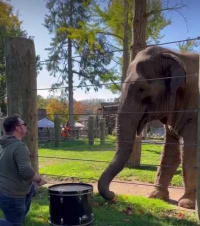 When your friends ask what One Piece is about just send this and dont elaborate