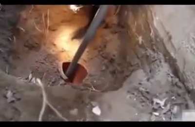 Local heroes team up to return cat to where it belongs