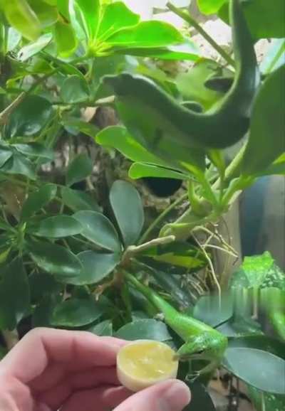 This was both adorable and funny.