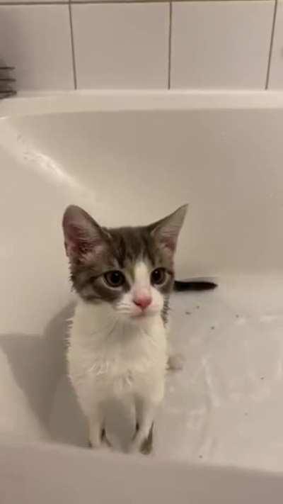 Терпеливые