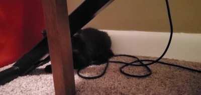 I'm sorry, I'm just as confused as you are this fine 5 am in the morning