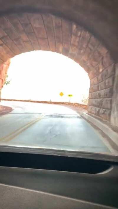 Крутейший графон