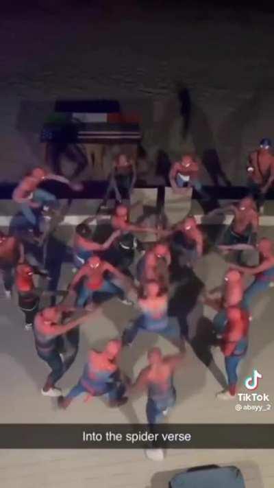 Spoodr man lost in the spider bers