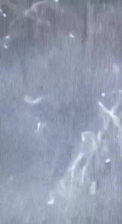 Russian Wagner mercenaries being destroyed by Ukrainian artillery while trying to advance from Soledar.