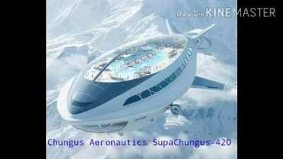 CHAD Chungustani Airlines 💪😎🇳🇪🇳🇪✈️✈️✈️ Vs Air India 🔻🔻🤣🤣🤣💀💀💀🤢🤢🤢