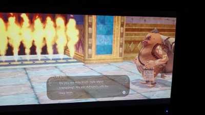 Link is a little too excited to see gorko